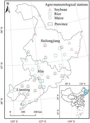 Trends and climate response in the yield of staple crops across Northeast China